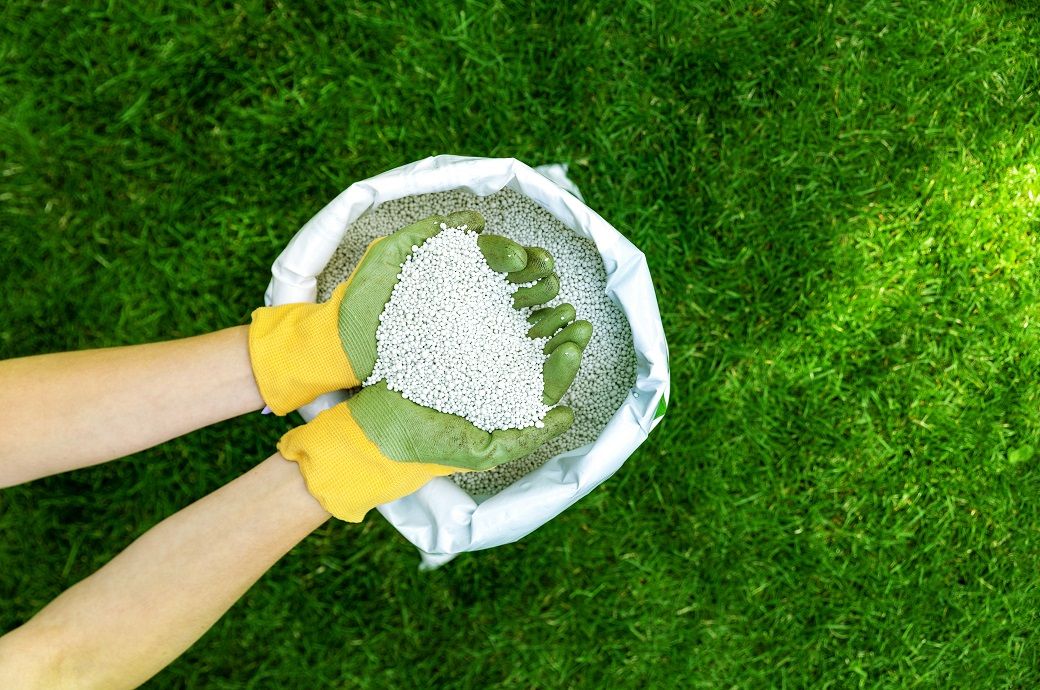  Coromandel partners with IFDC to drive fertiliser innovation in India