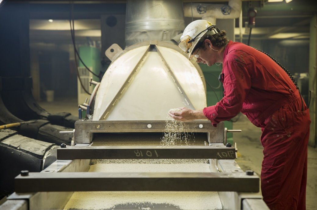 US' Ascend creates Nylon 6,6 using used cooking oil feedstock