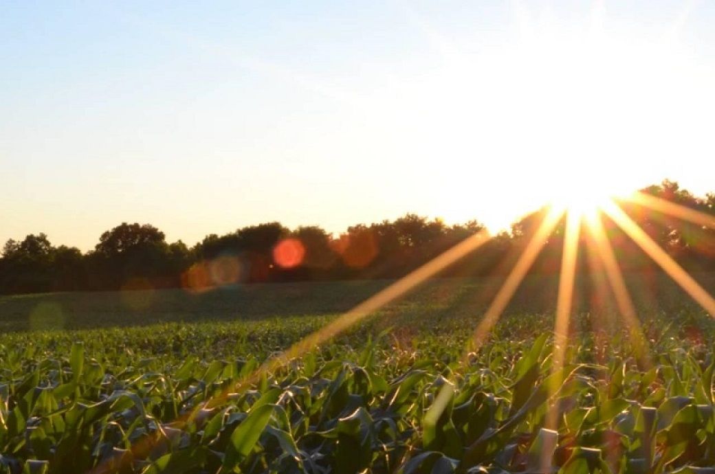 MAIRE's Stamicarbon secures NX STAMI urea tech contracts in Canada