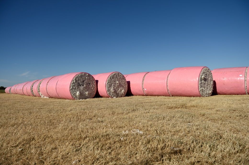 Brazil's cotton exports to China drop as Pakistan becomes top buyer