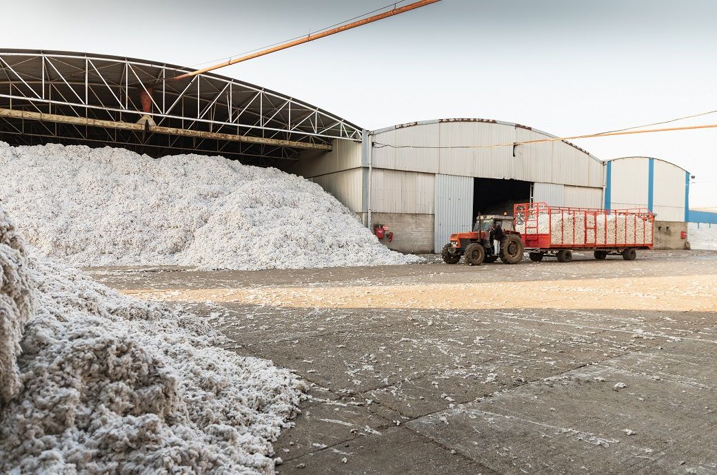 US tariffs threaten India's cotton consumption in 2025–26 season