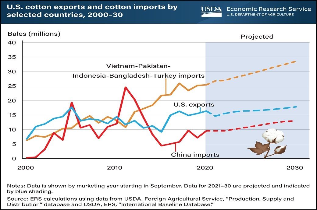 随着亚洲竞争对手的增长，我国棉花进口国地位下降