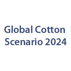 Global Cotton Scenario- 2024