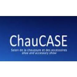 ChauCASE - 2025