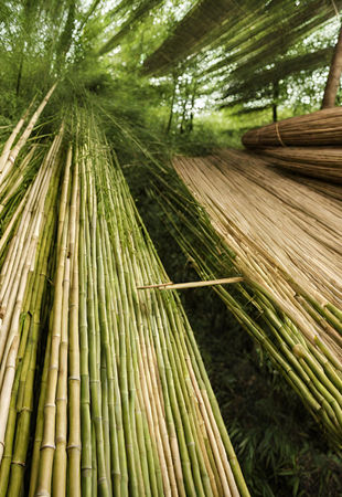 Bamboo in Textiles: A Sustainable Alternative