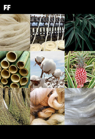 What Are Cellulosic Fibres? Discover the Most Sustainable Choices!