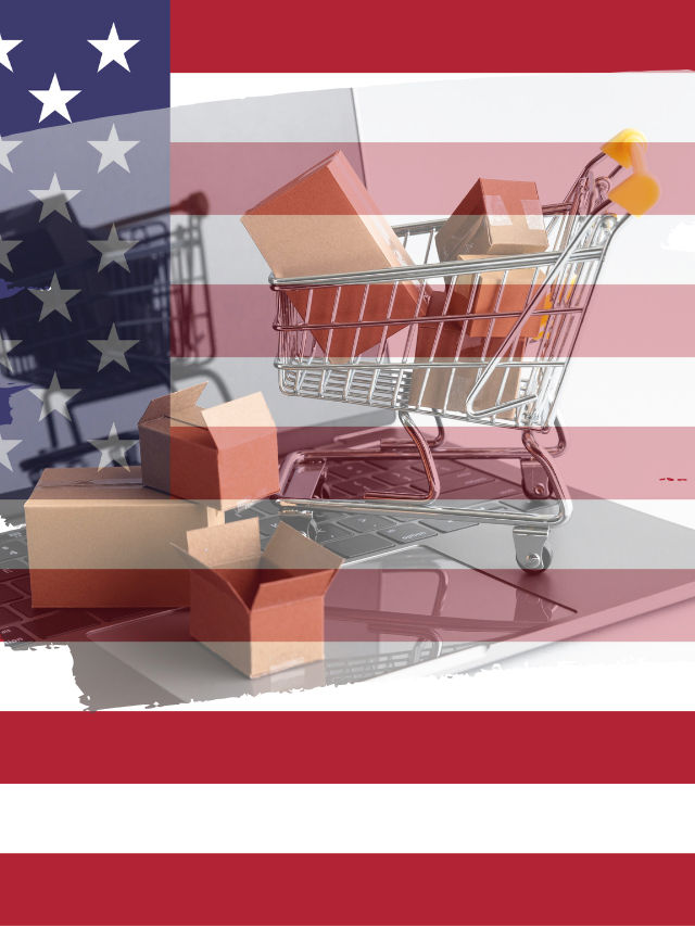 US Online Sales Reach $1.3 TN Record in 2023: Study